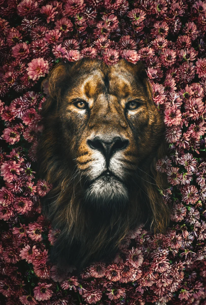 Flower Power.2x3.1200px.jpg