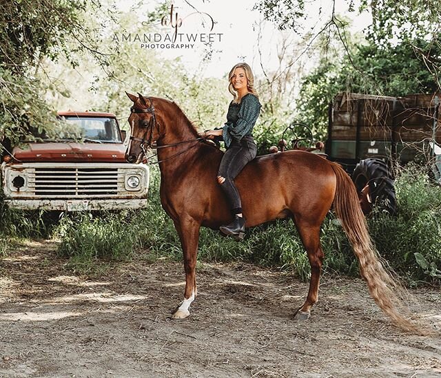 So, this was a BLAST!!! Miss Mia rocked her Senior Photos! 😍

I feel like I should share some behind the scenes shots from this session too! You will never believe what we used to get this horse's attention! I cried from laughing so hard! I turned a
