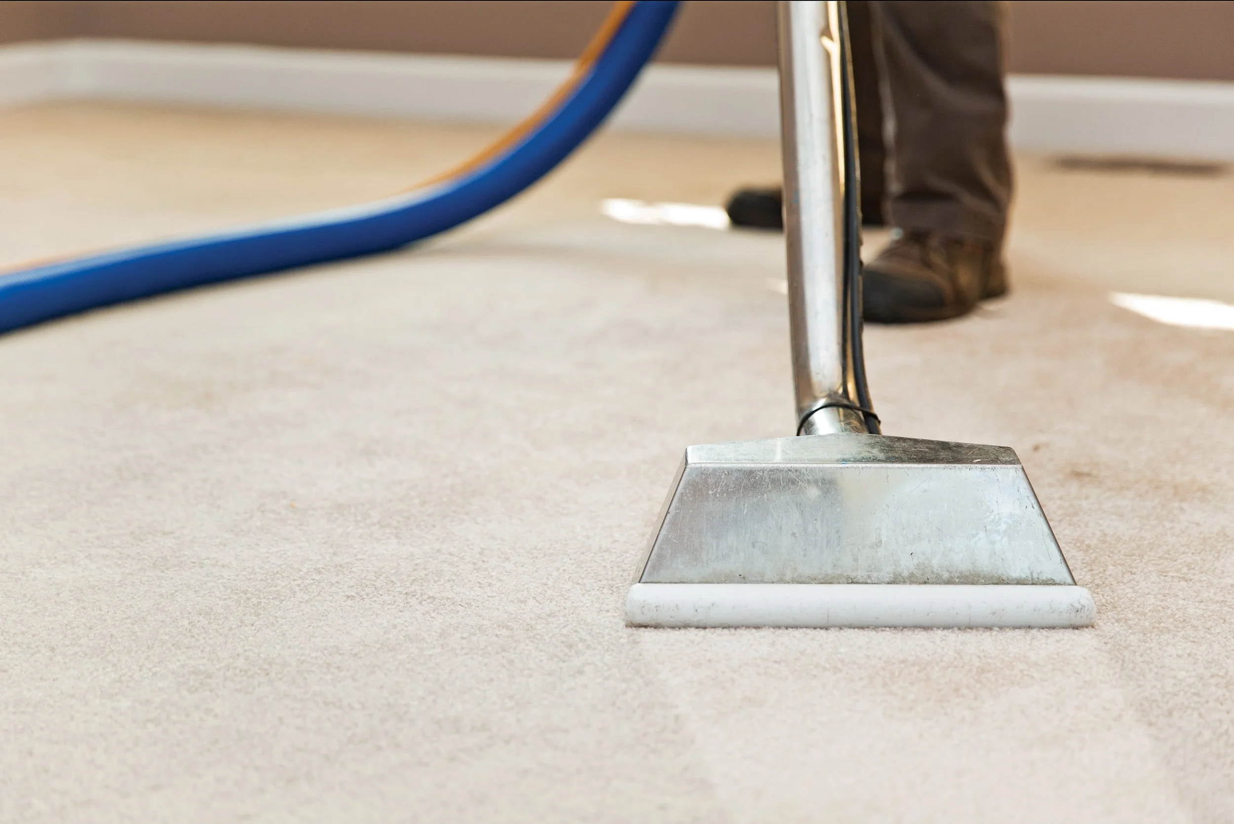 ind_expert_carpetcleaning_0914_chris03.jpg