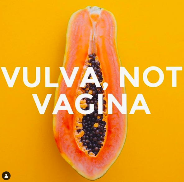 Vulva, NOT Vagina