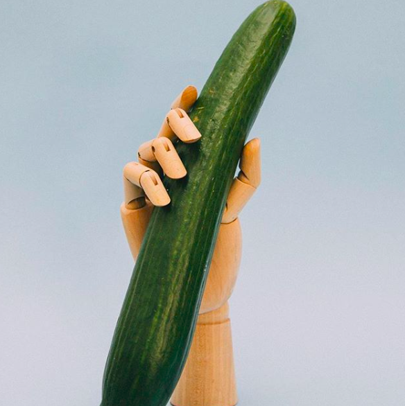 Seven Facts about the Penis