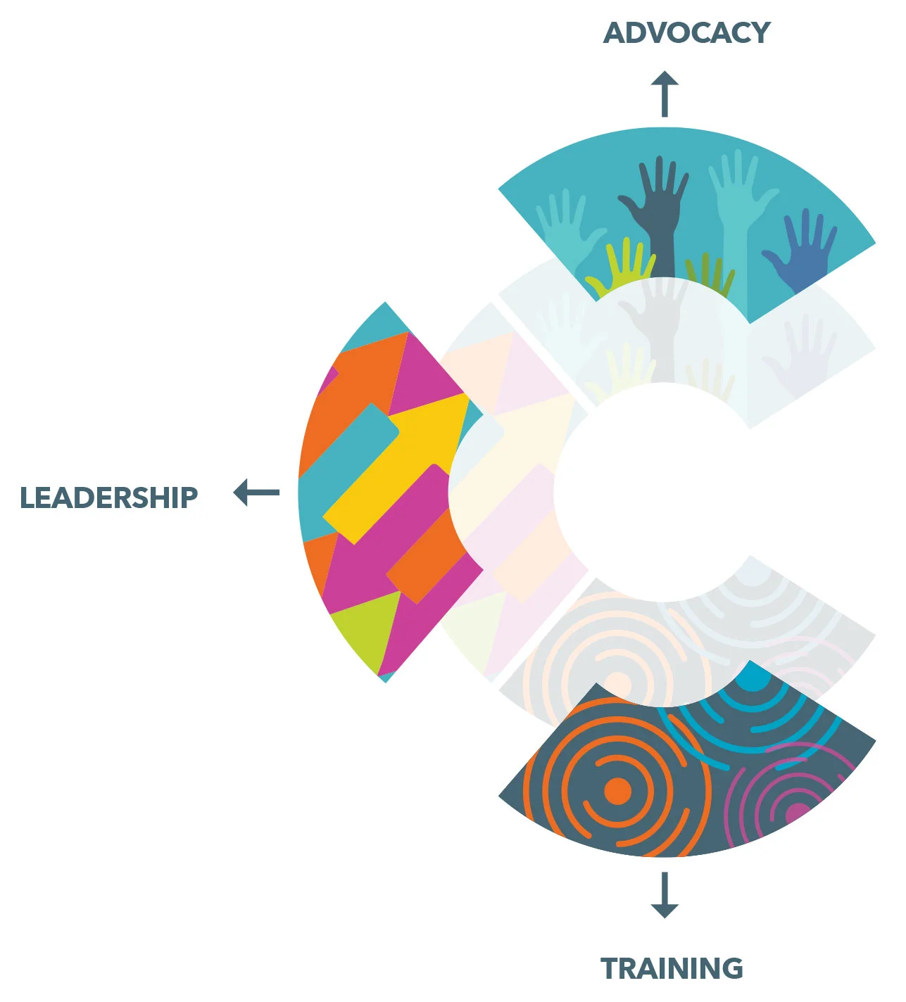 CalSAC-Logo-Anatomy.jpg