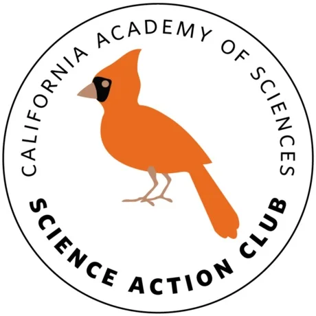 Science Action Club