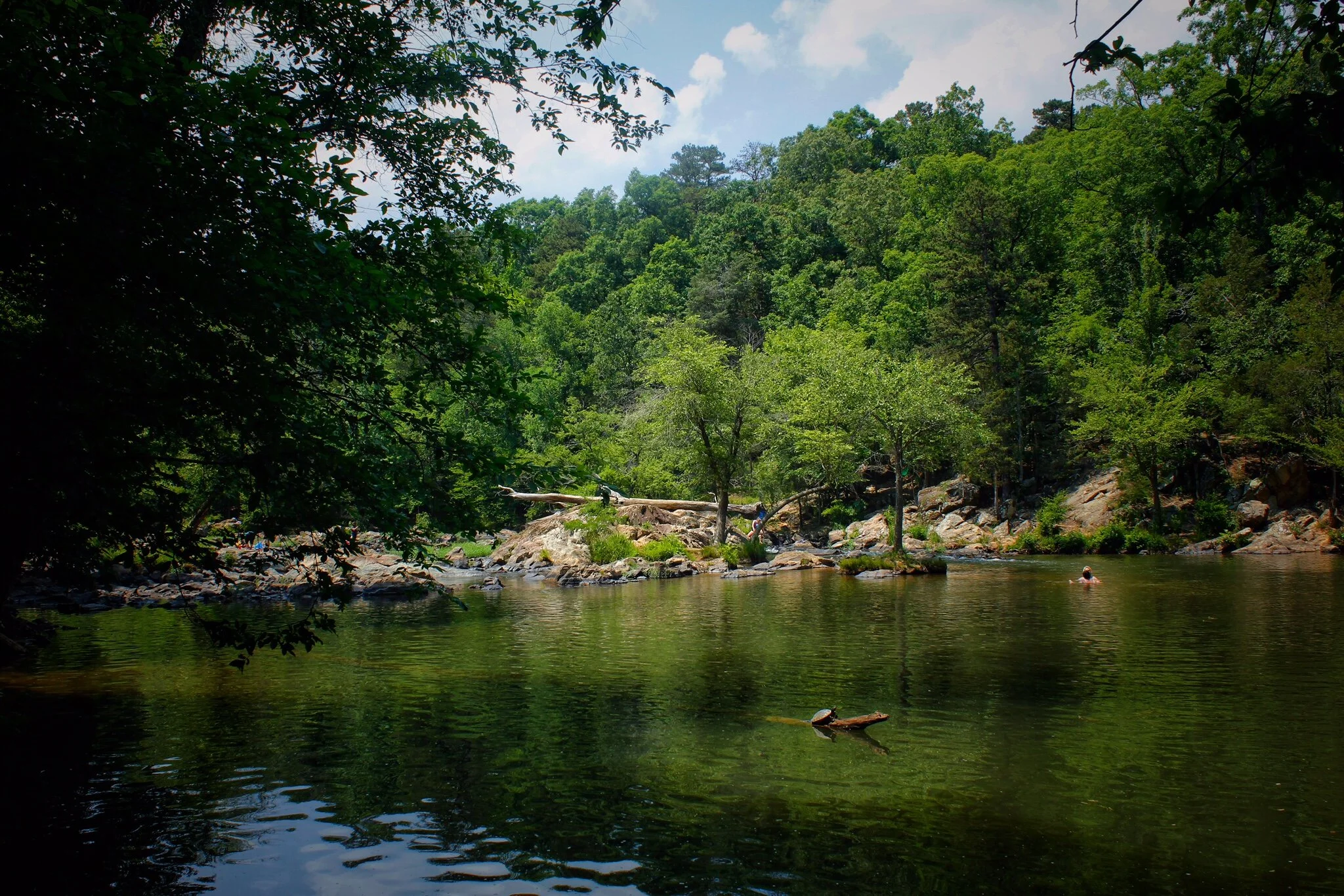 Selena Levy's Next Adventure