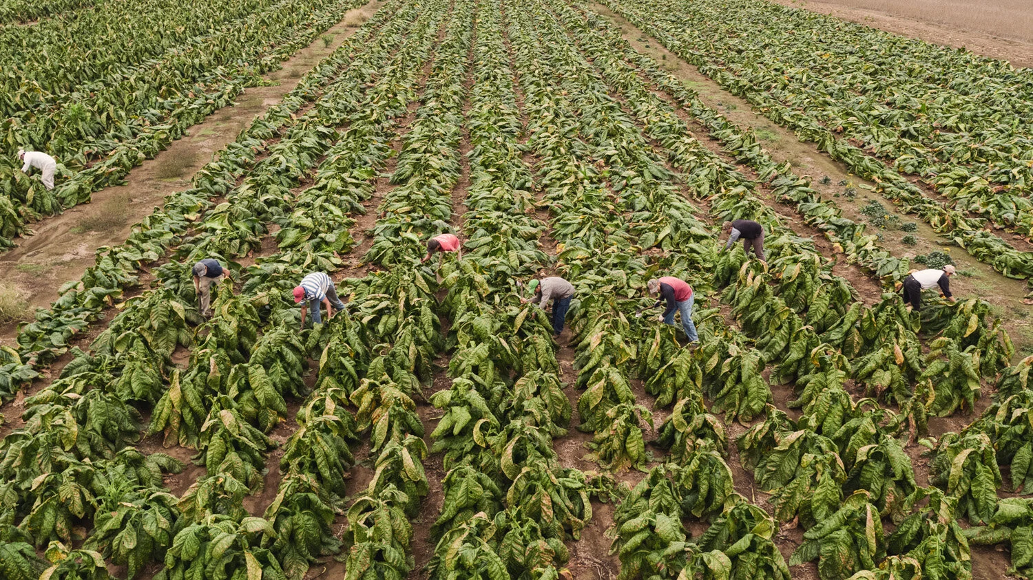 GAP_KY_0005.jpg
