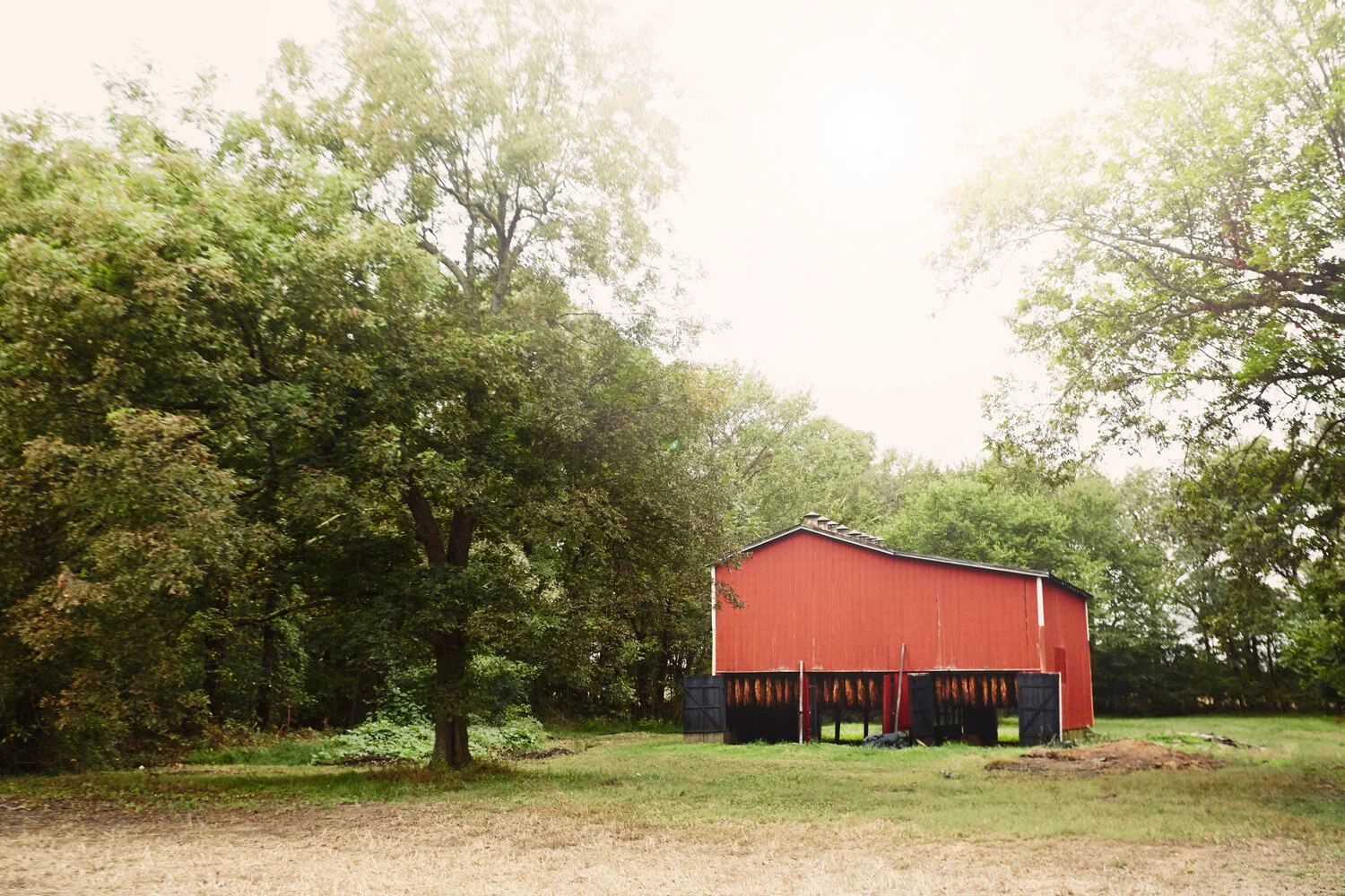GAP_KY_0020.jpg