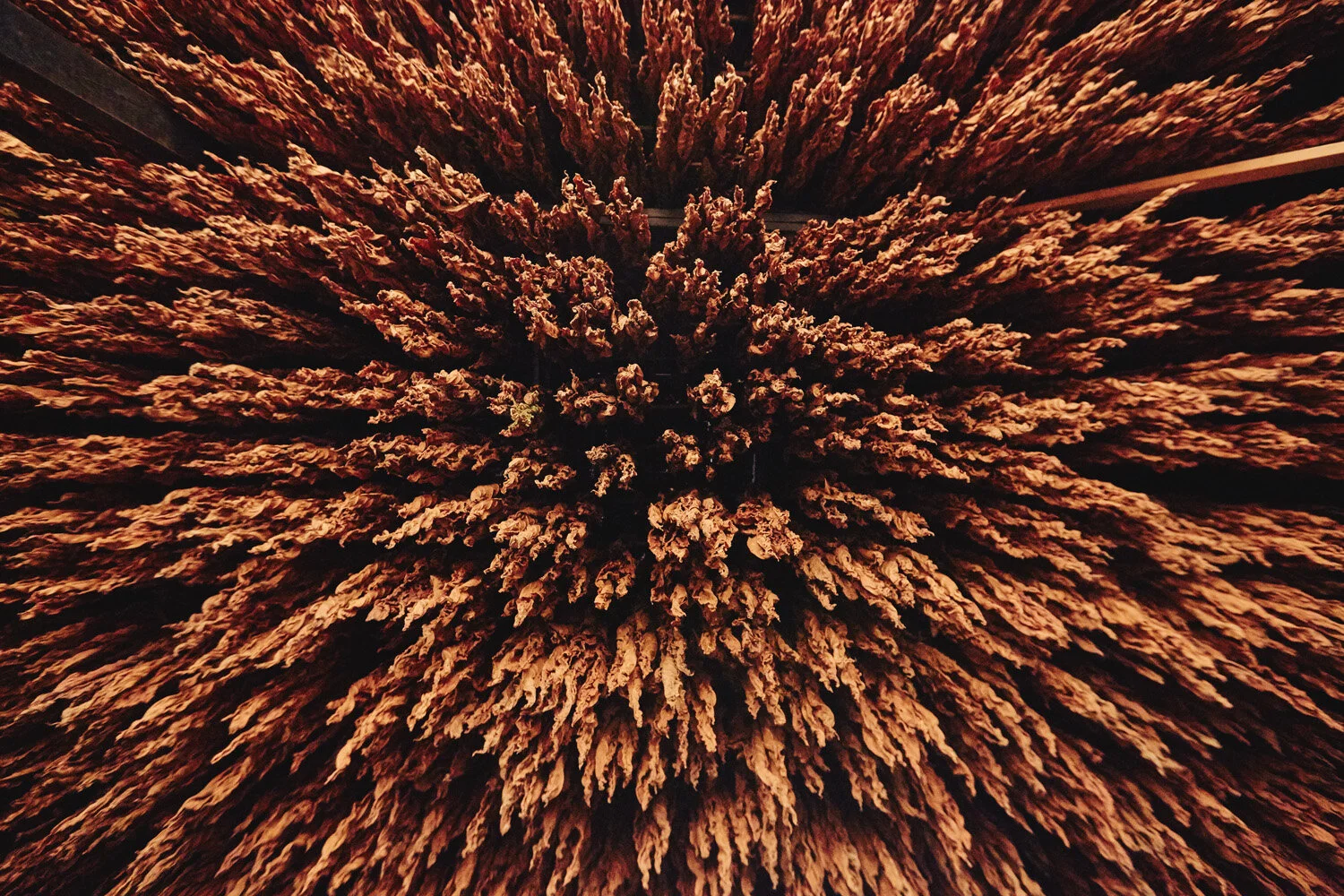 GAP_KY_0023.jpg