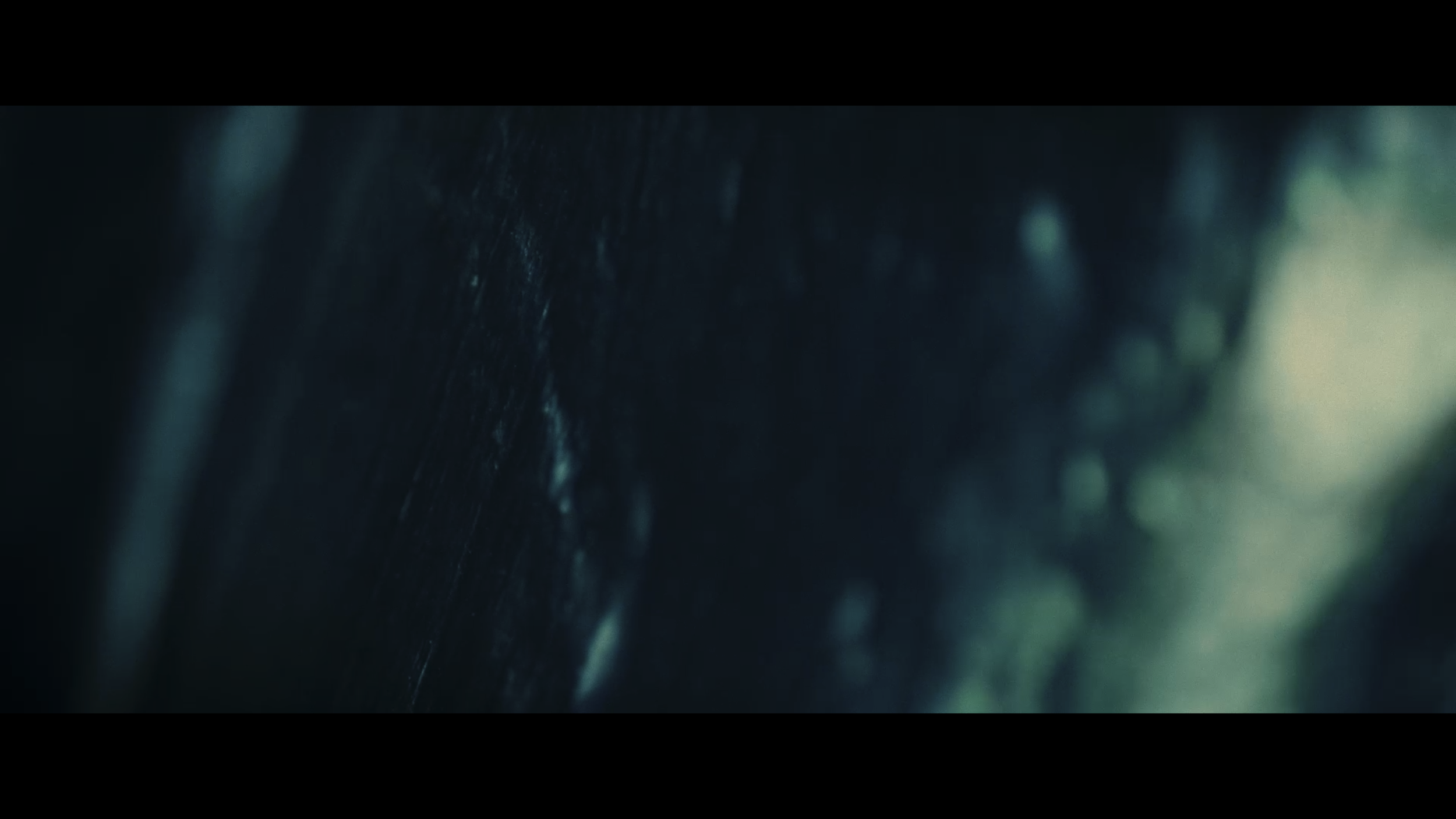 Screenshot 2024-10-21 at 11.50.21 AM.PNG