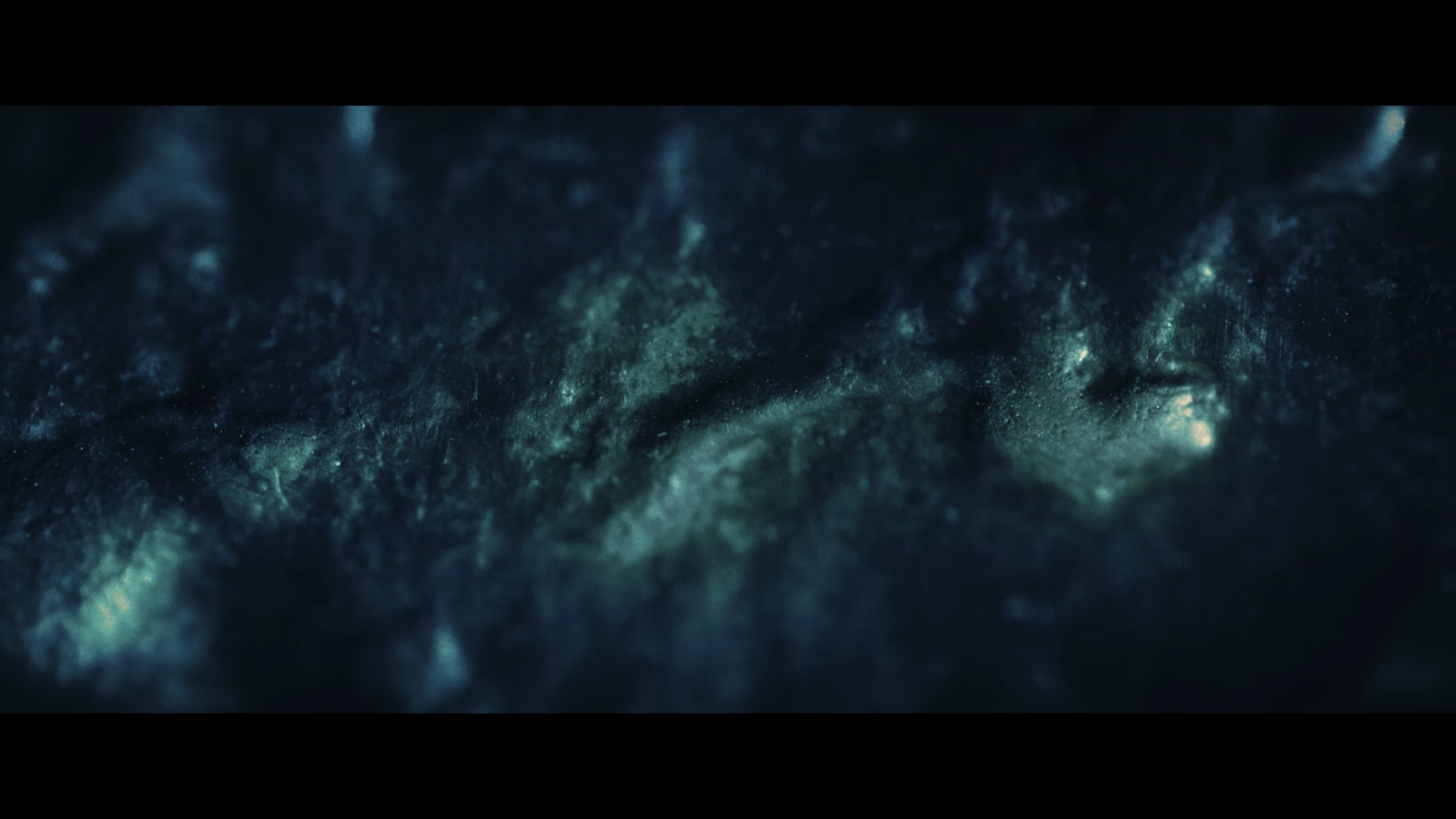 Screenshot 2024-10-21 at 11.51.19 AM.PNG