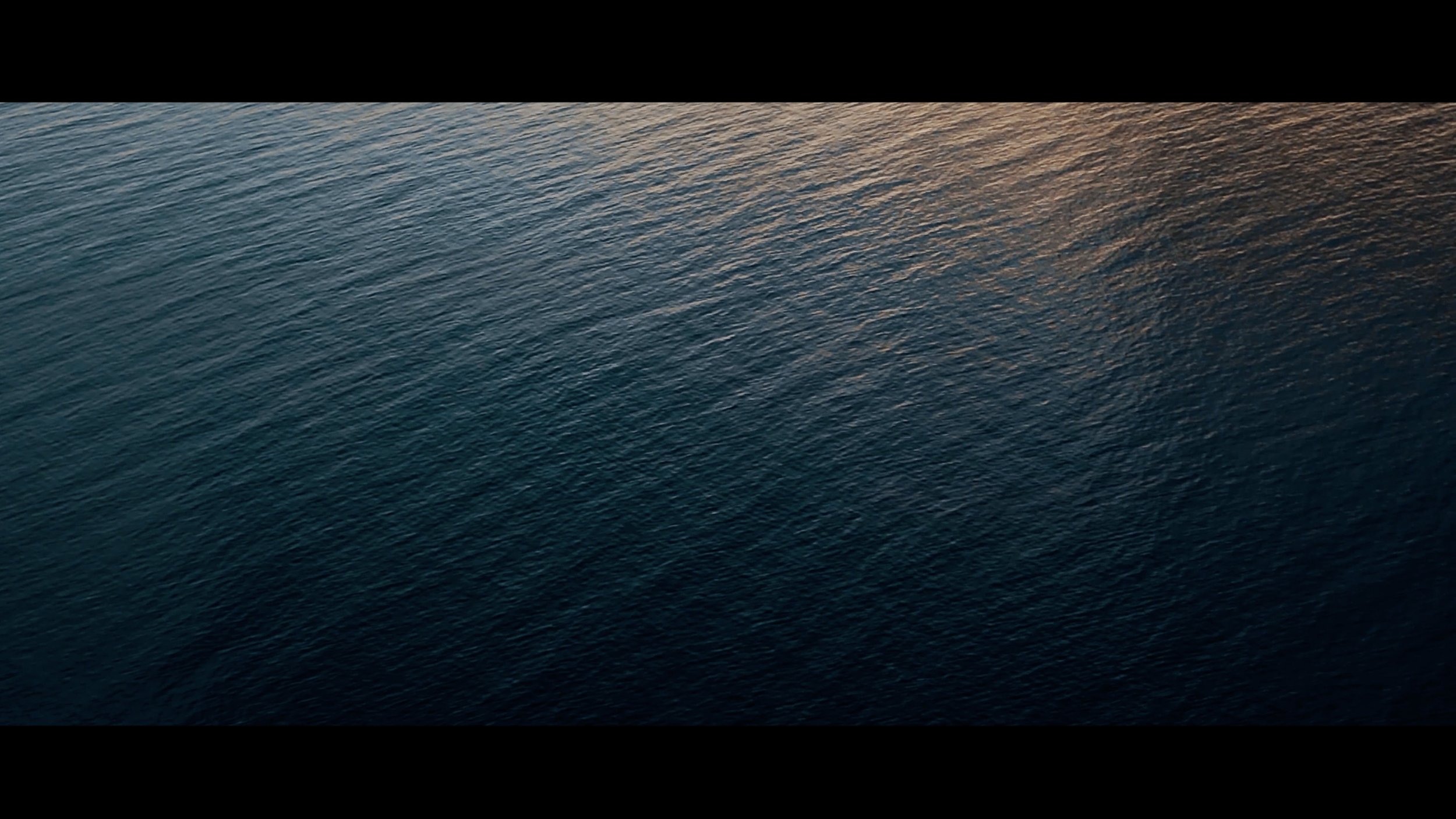 SurfBrigade_00001 copy.jpg