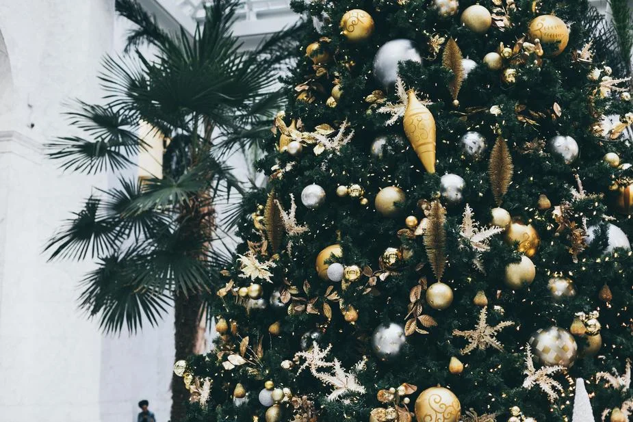 christmas-and-palm-trees_925x.jpg