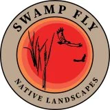 Swamp fly.jpeg
