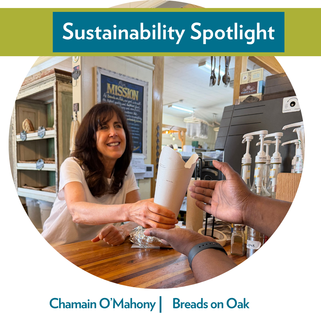 Webpage Sustainability Spotlight Template.png