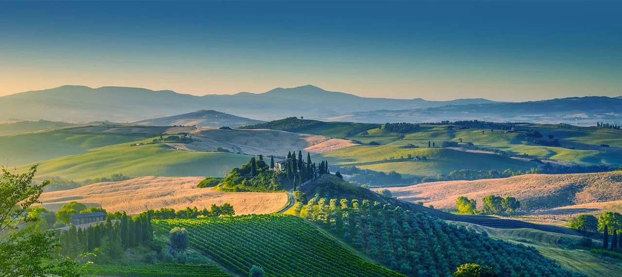 Wine Tour image.jpg