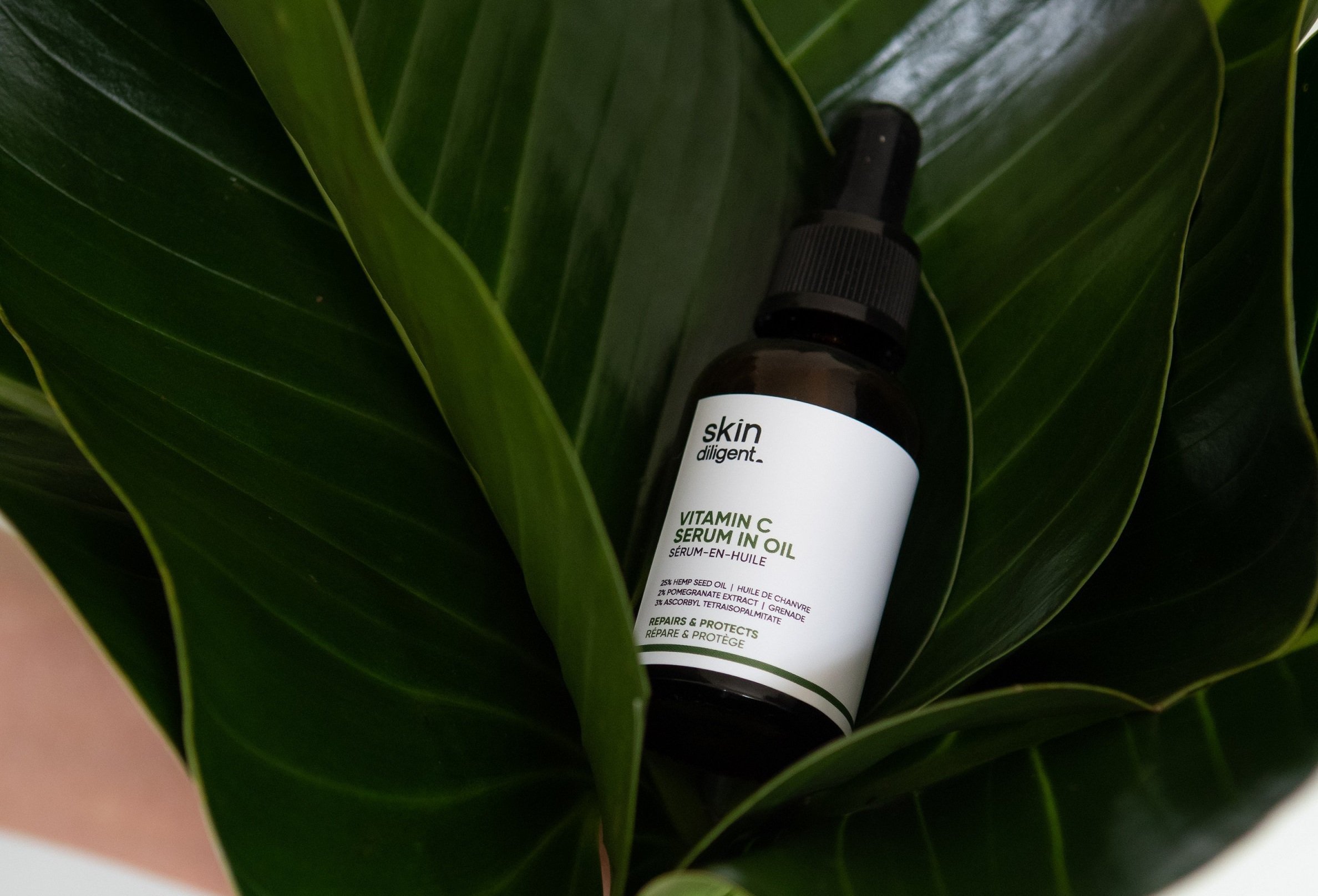 WIN Skin Diligent natural Vitamin C Serum in Oil (worth £55) — Beauty Bible