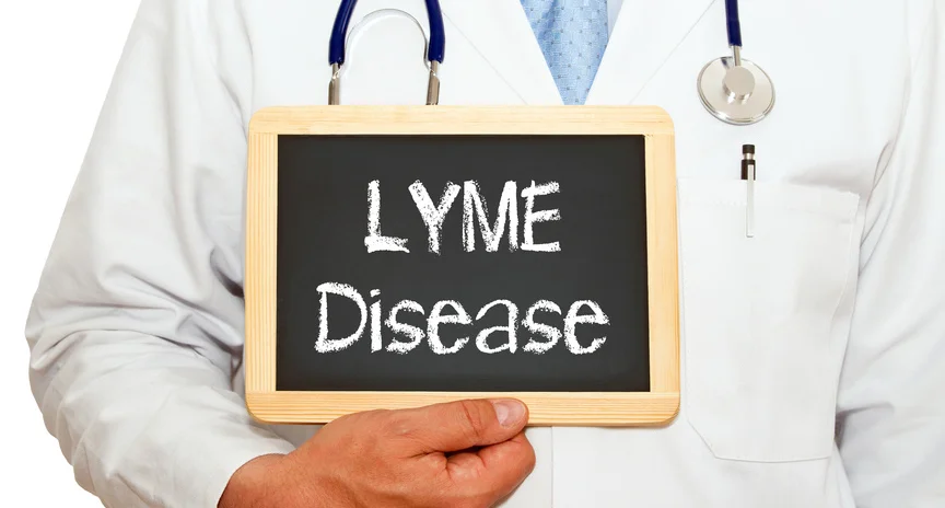 Spot Lyme in time...