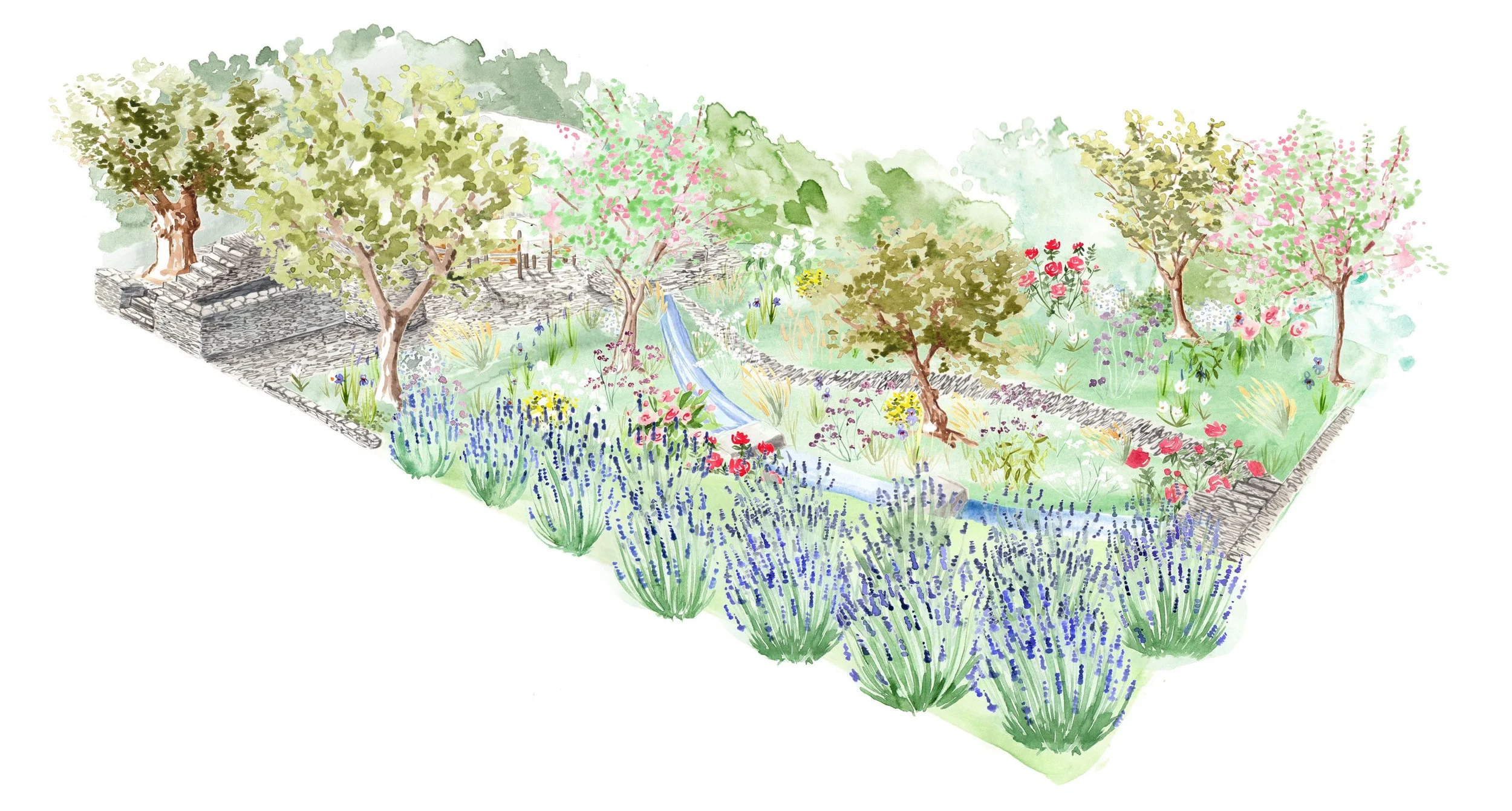 L’Occitane en Provence Violette & Rose de Mai Eau de Toilette