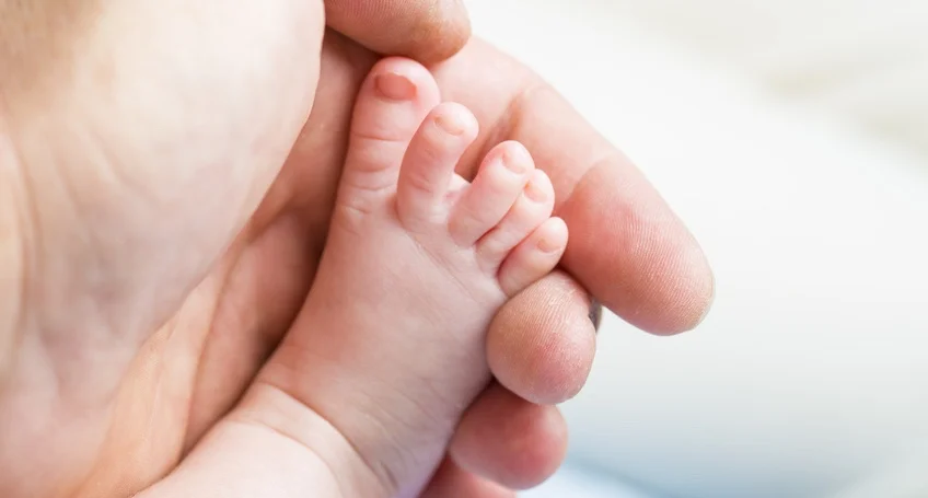 Comfort for the 88,000 premature babies born each year