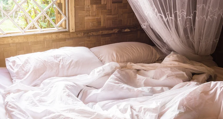 Don't let the bed bugs bite...