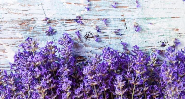 Lavender loveliness: our D-I-Y Lavender & Salt Body Scrub...