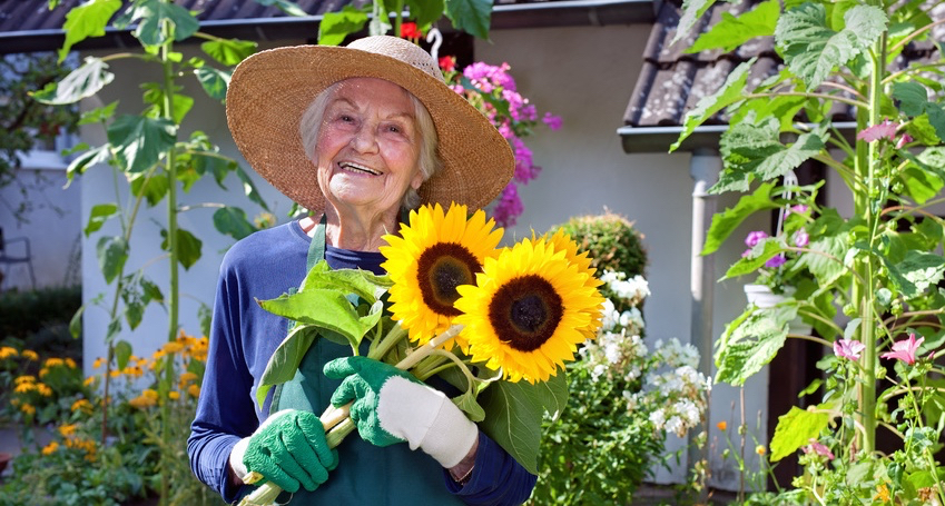 Happy-Senior-Woman-Holding-a-Bouquet-of-Sunflowers..jpg