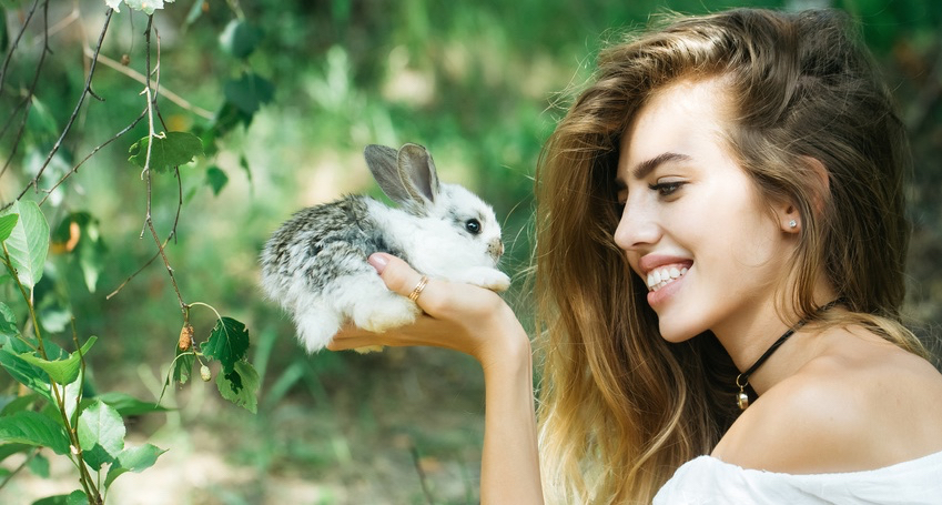 FOUNDATION_WITH_RABBIT.jpg