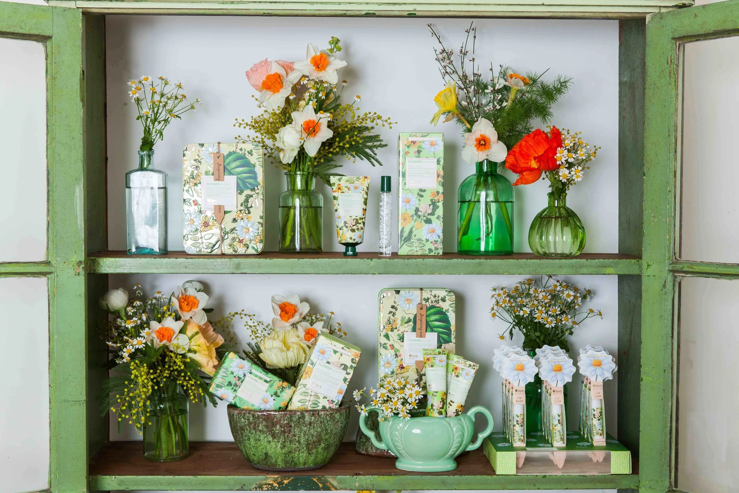 RHS_DAISY_RANGE.jpg