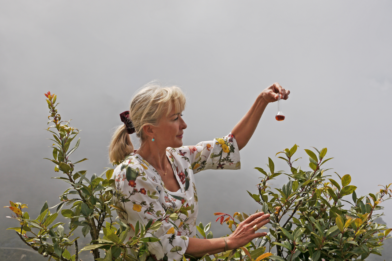 Isabelle PACCHIONI - Récolte de la Gaulthérie (Nepal) - copyright H.Pichoux-Puressentiel.png