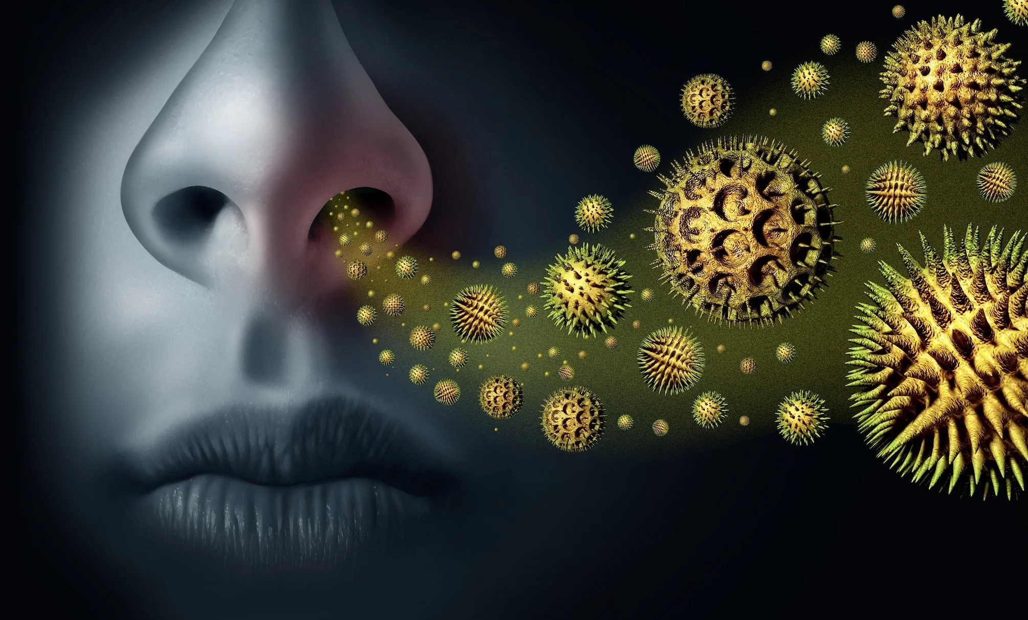 Sarah’s Health Notes: Hayfever early warning