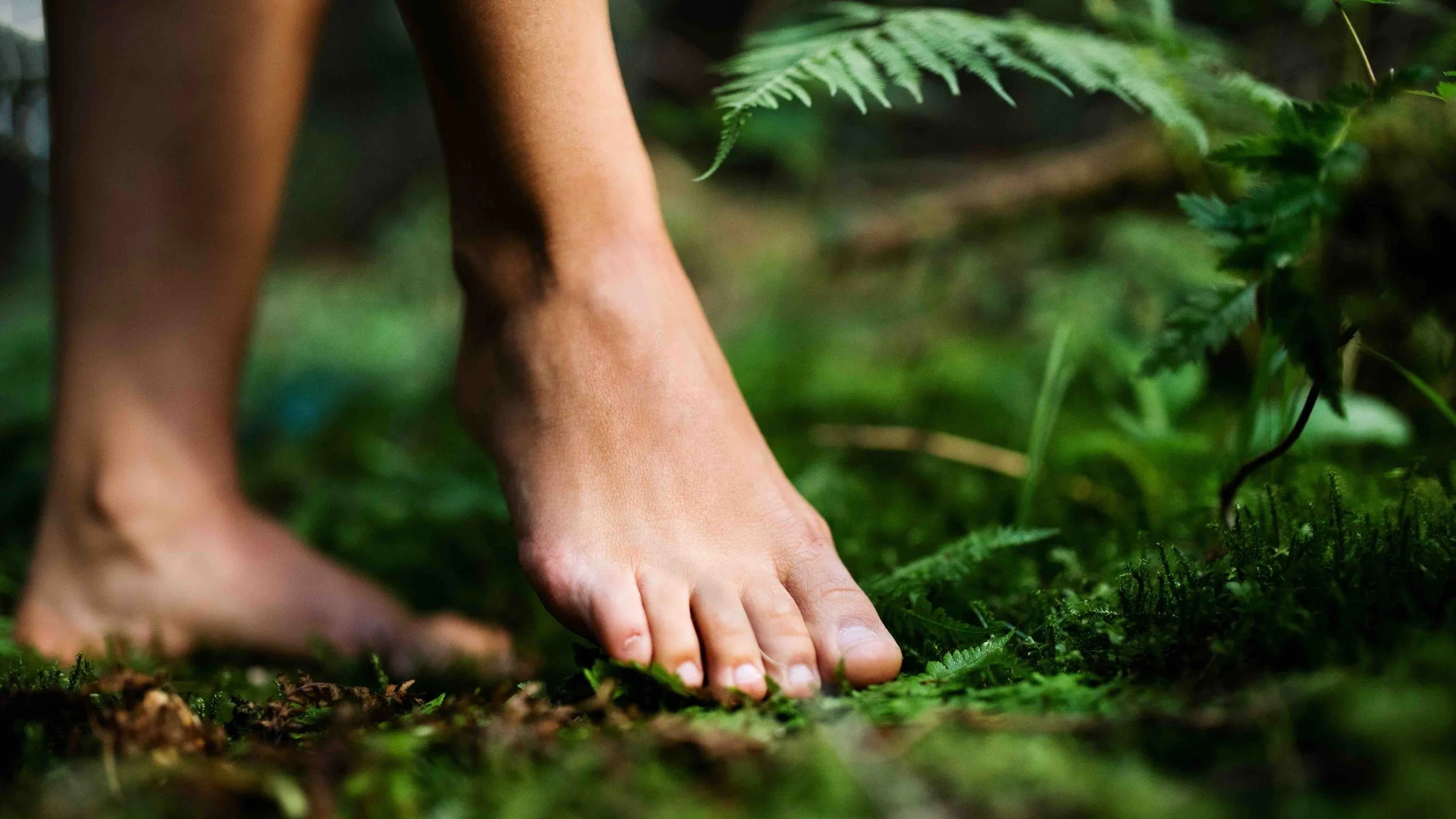 Sarah’s Health Notes: Why we all need vitamin N for Nature