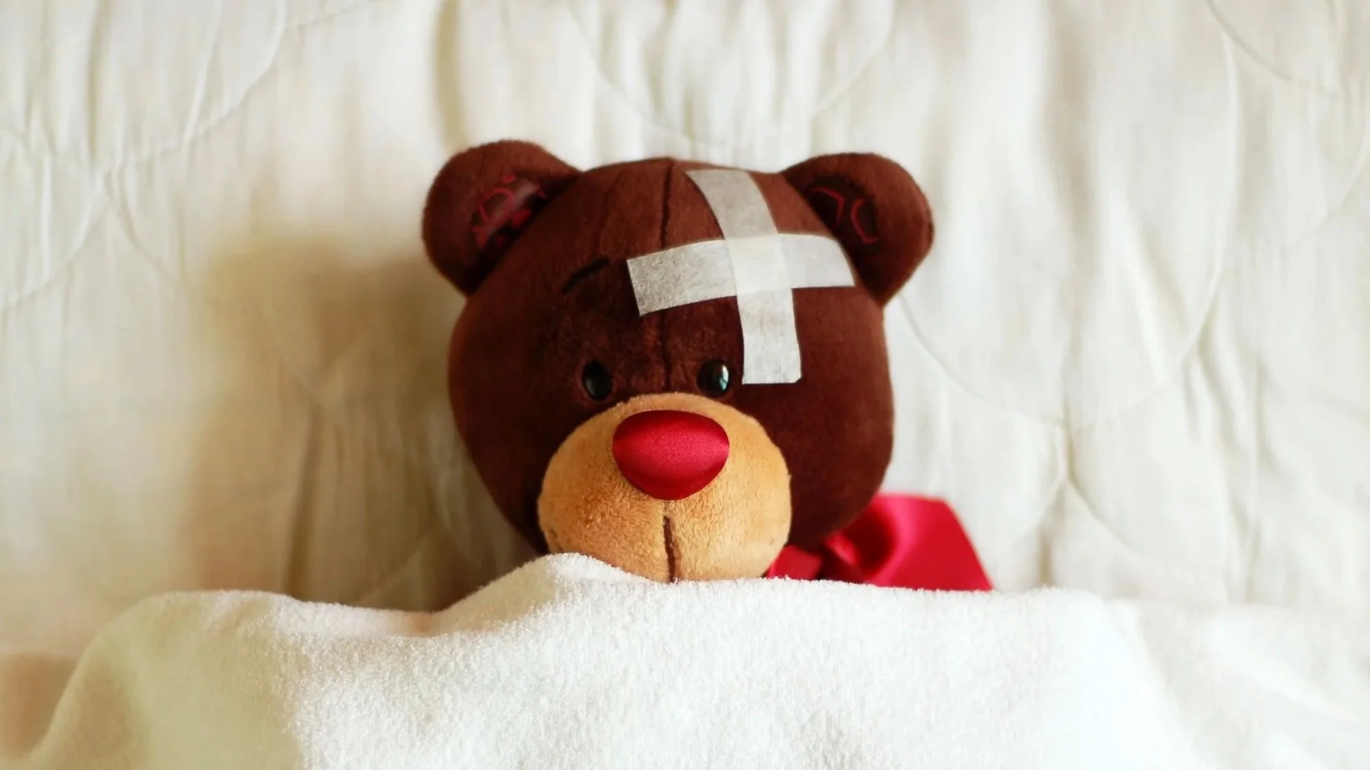 Sarah's Health Notes: Pre-holiday healthcare planning