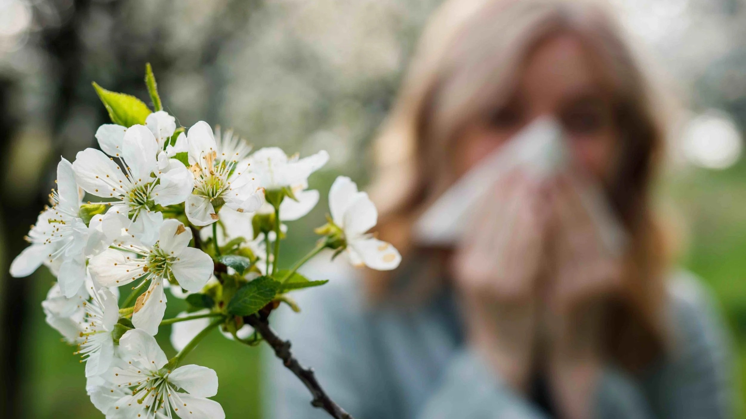 Sarah's Health Notes: Hay fever update (and warning: it's early!)