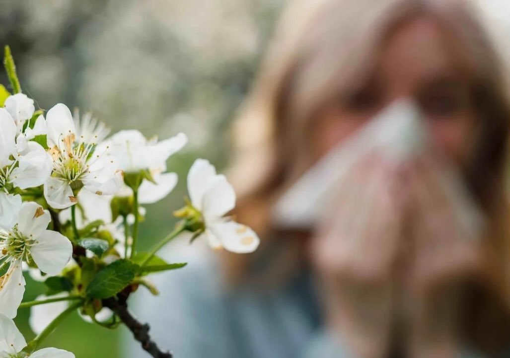 Sarah&rsquo;s Health Notes: Hay fever update (and warning: it&rsquo;s early!) 🤧

Hay fever season is starting early this year - and in her latest Sarah&rsquo;s Health Notes for the Beauty Bible, Sarah takes a deep dive into what that really means fo