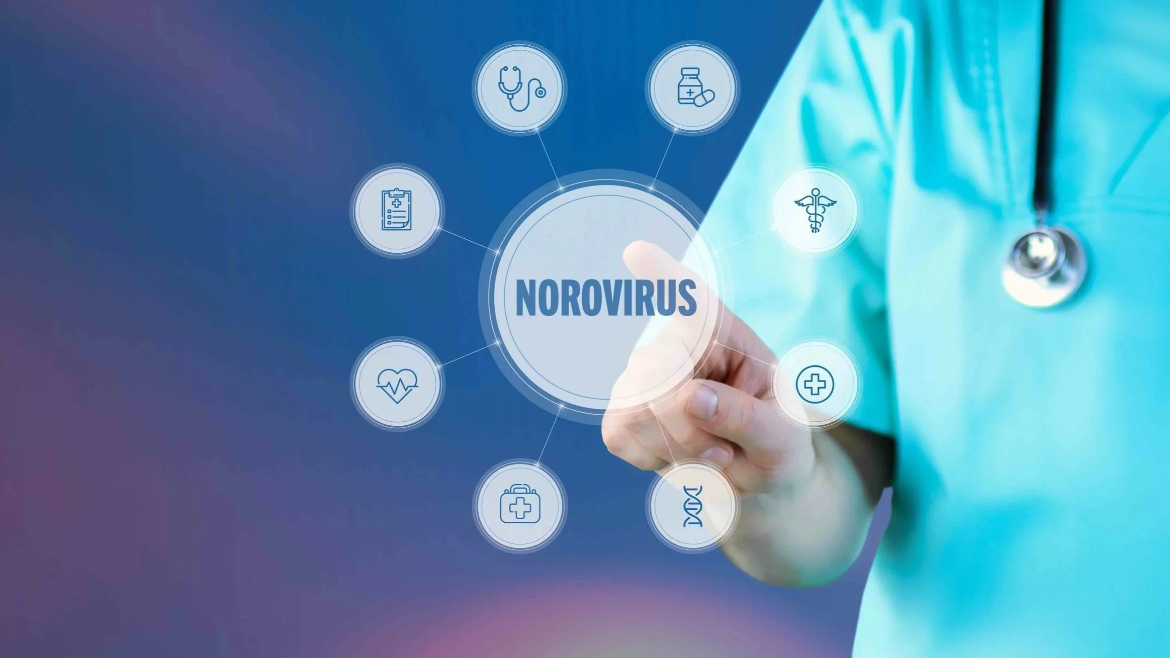 Sarah's Health Notes: Dealing with Norovirus