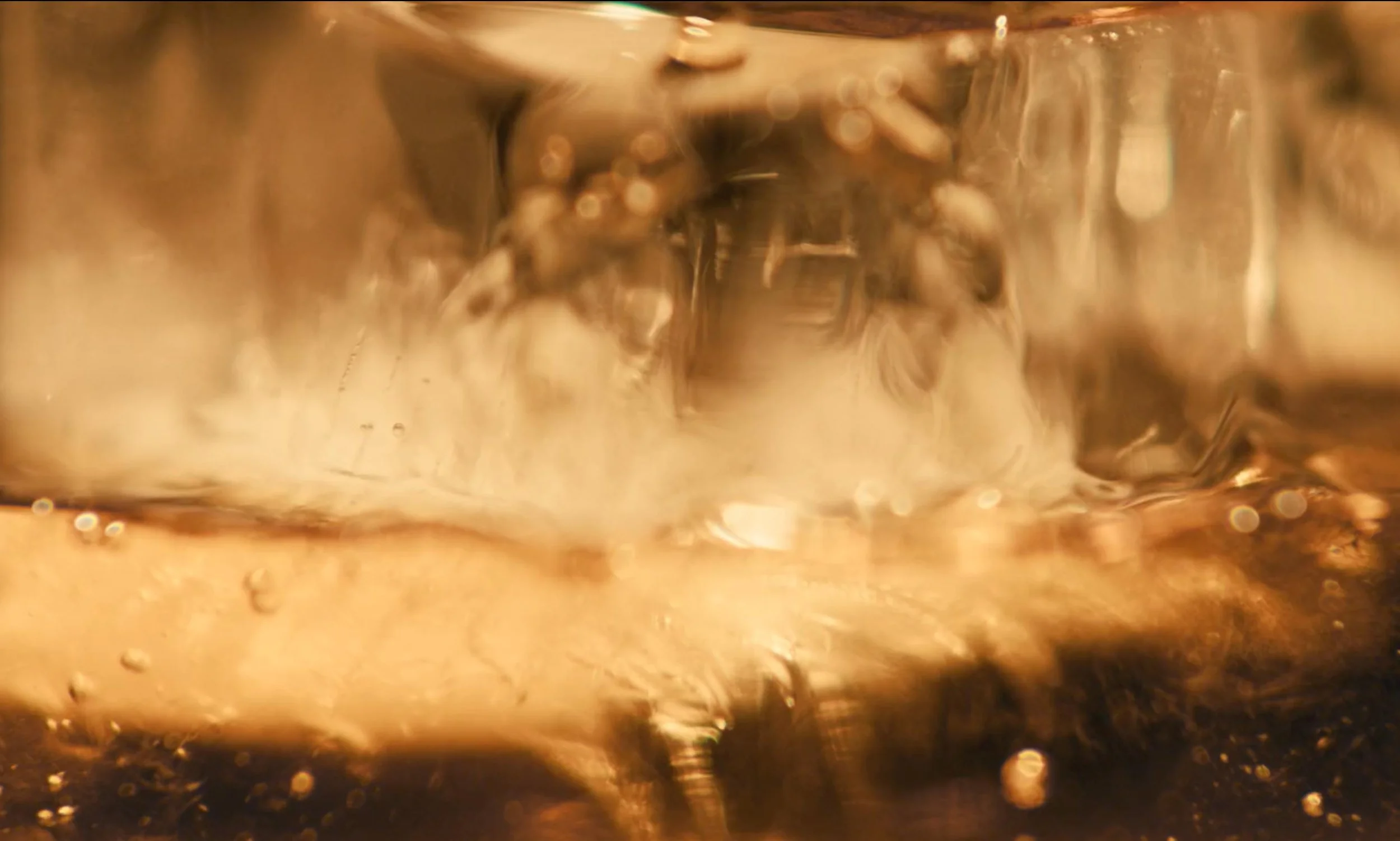 core-lineup-video-still.jpg