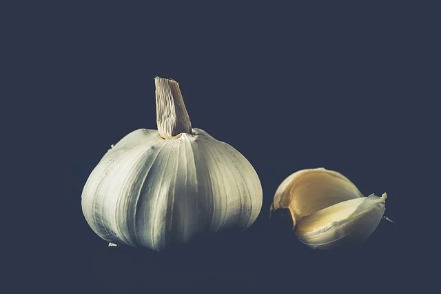 garlic-2810491_640.jpg