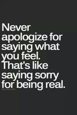 apologies.jpg