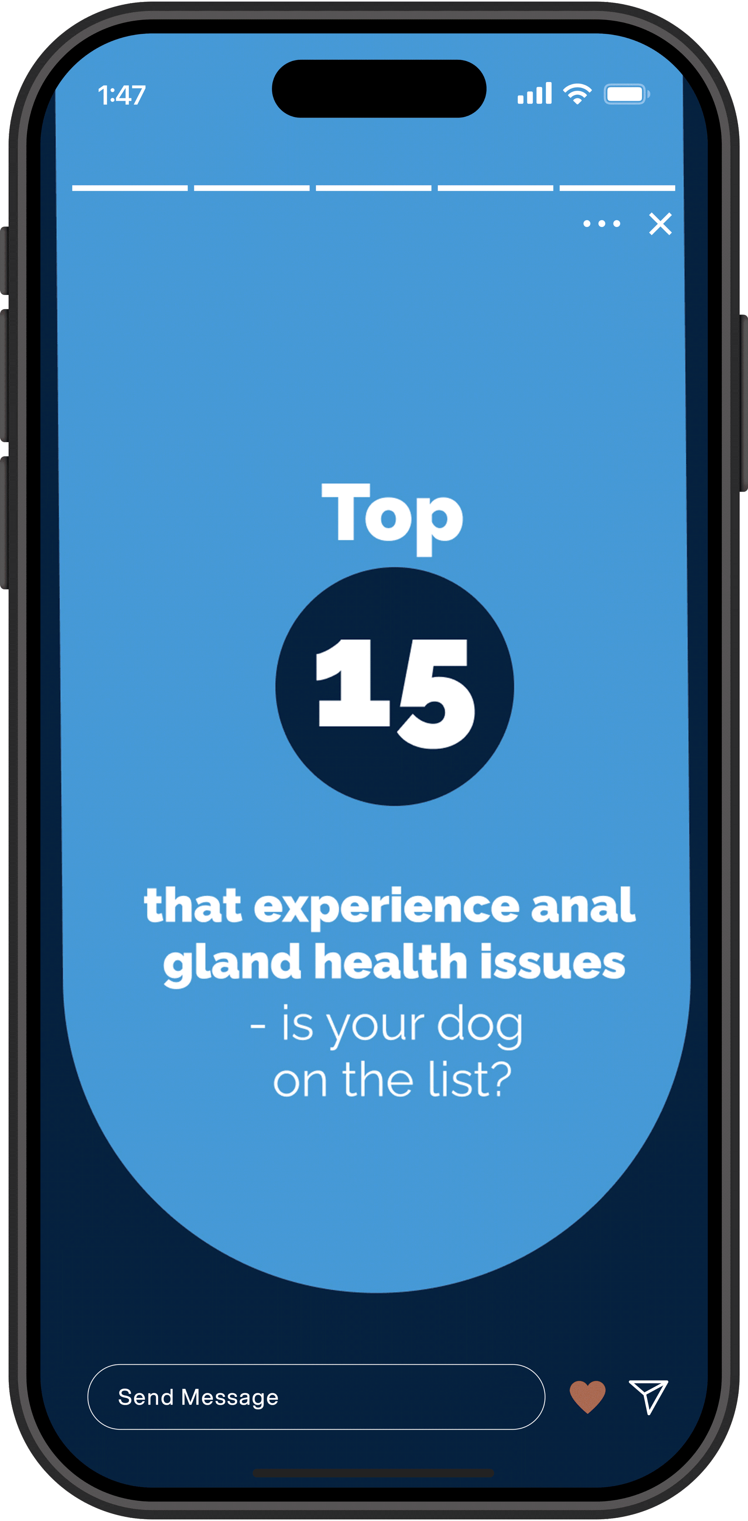 Vetnique Social Campaigns