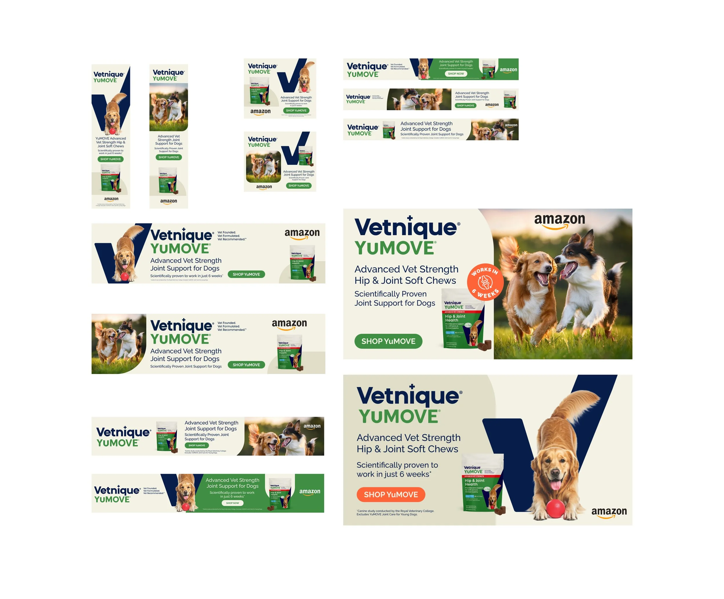 Amazon Ads for Vetnique product launch