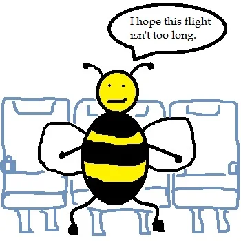 Bumblebee.jpg