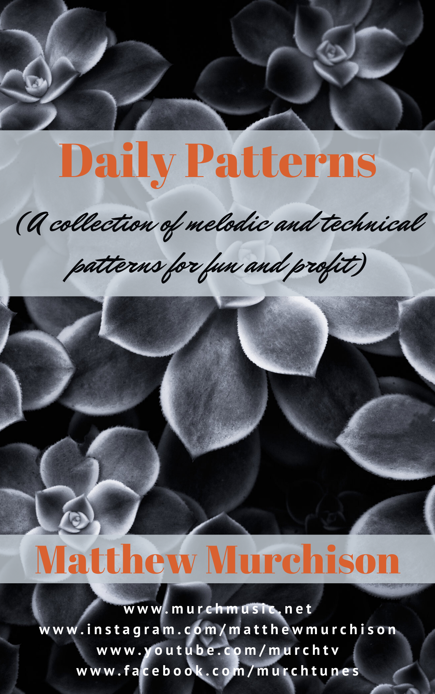 Daily Patterns_Book Cover.png