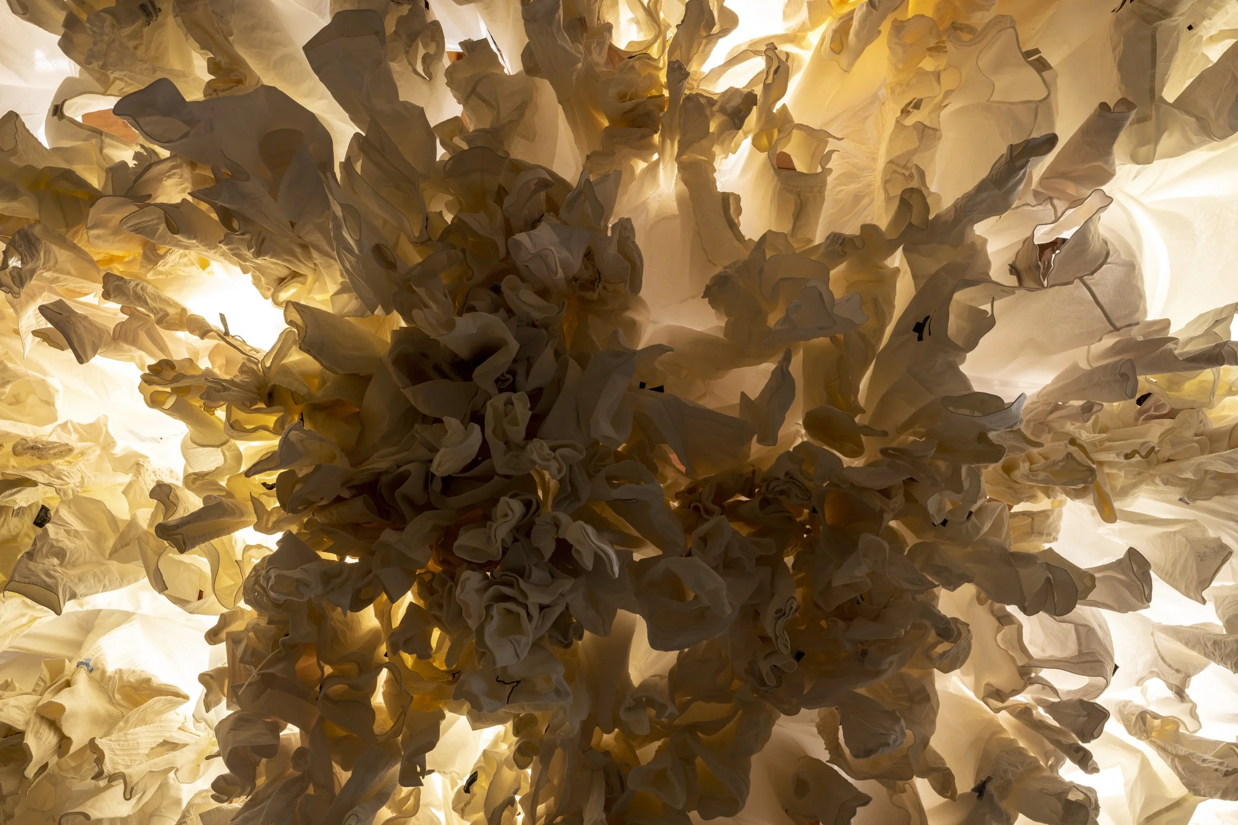 No Bodies: Clothing as Disruptor