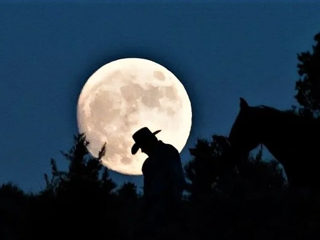 Sulla luna - Stagione n.7, puntata n.16