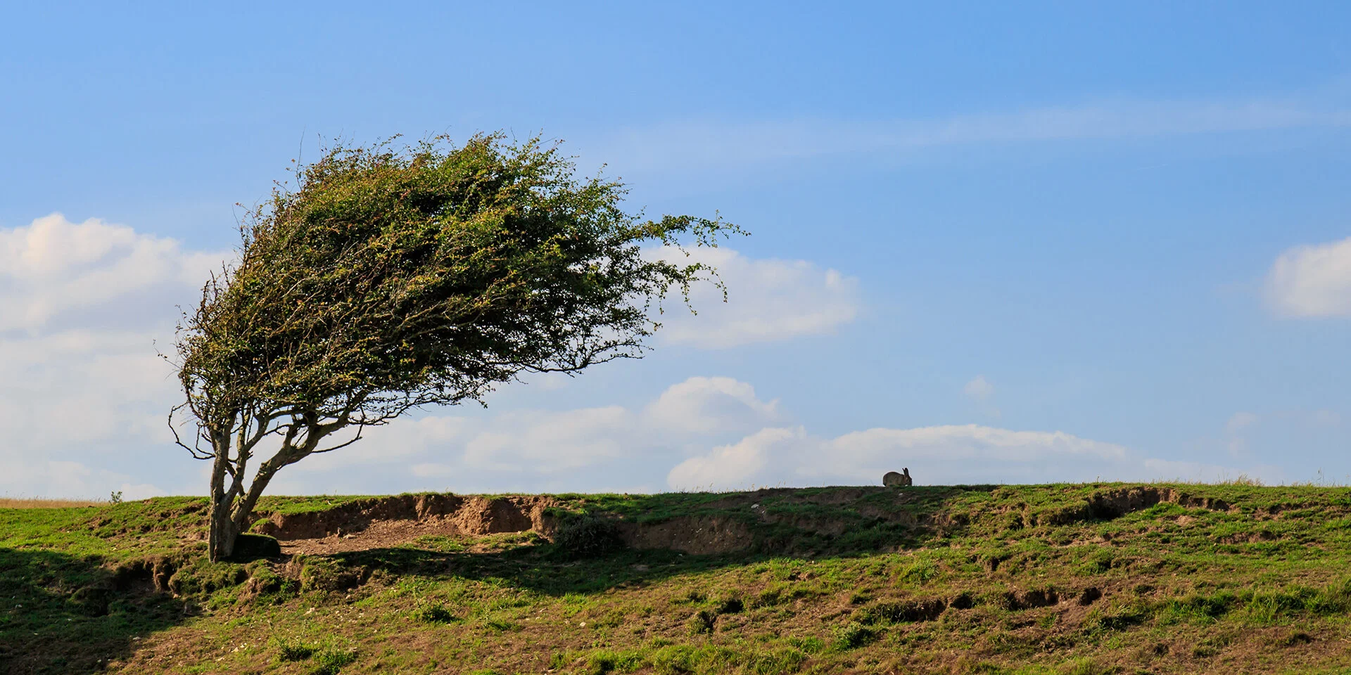 Via col vento - Stagione n.8, puntata n.4