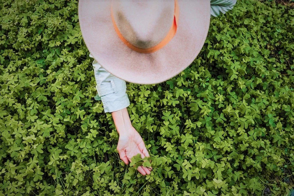 Che fortuna - Stagione n.8, puntata n.28