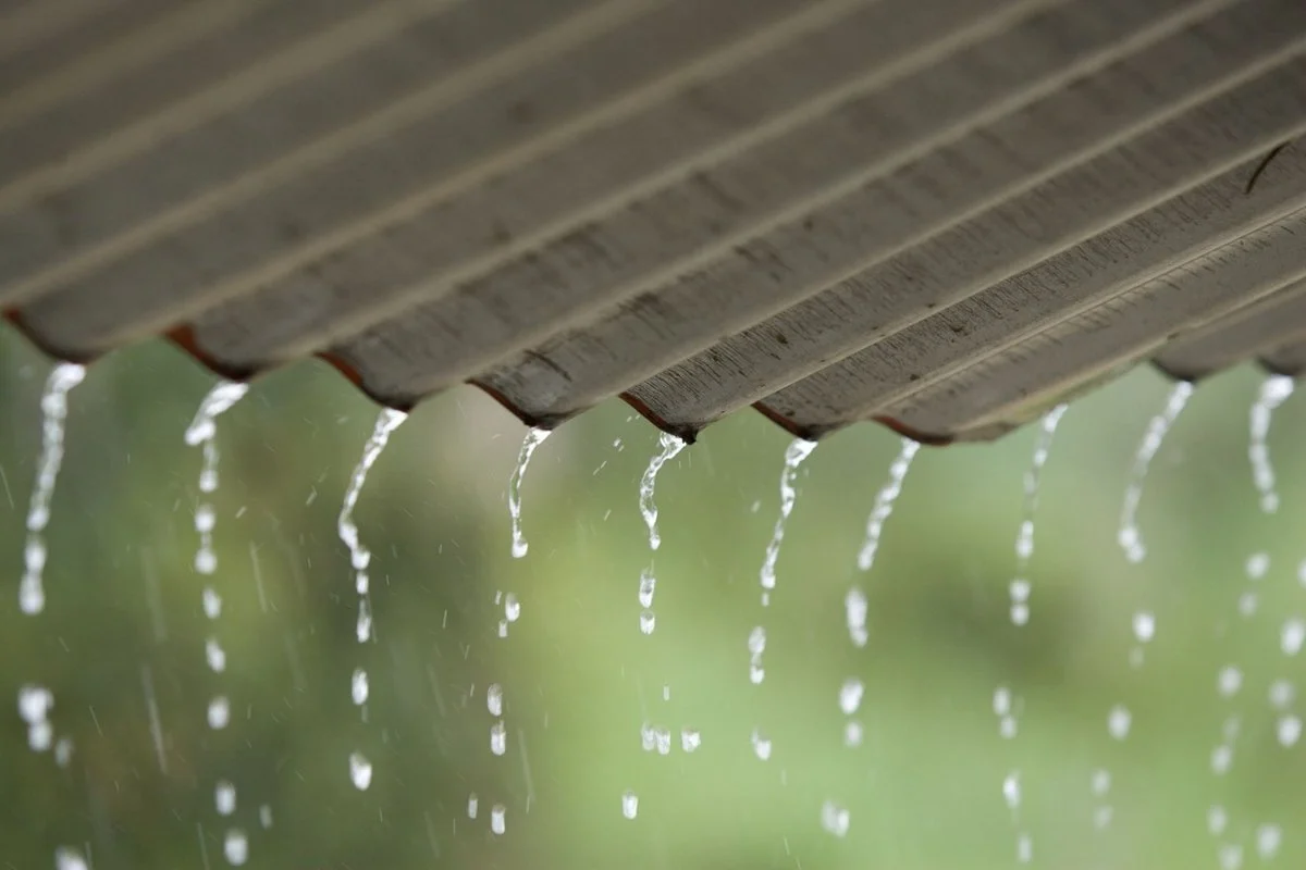 Tin Roof - Stagione n.9, puntata n.7