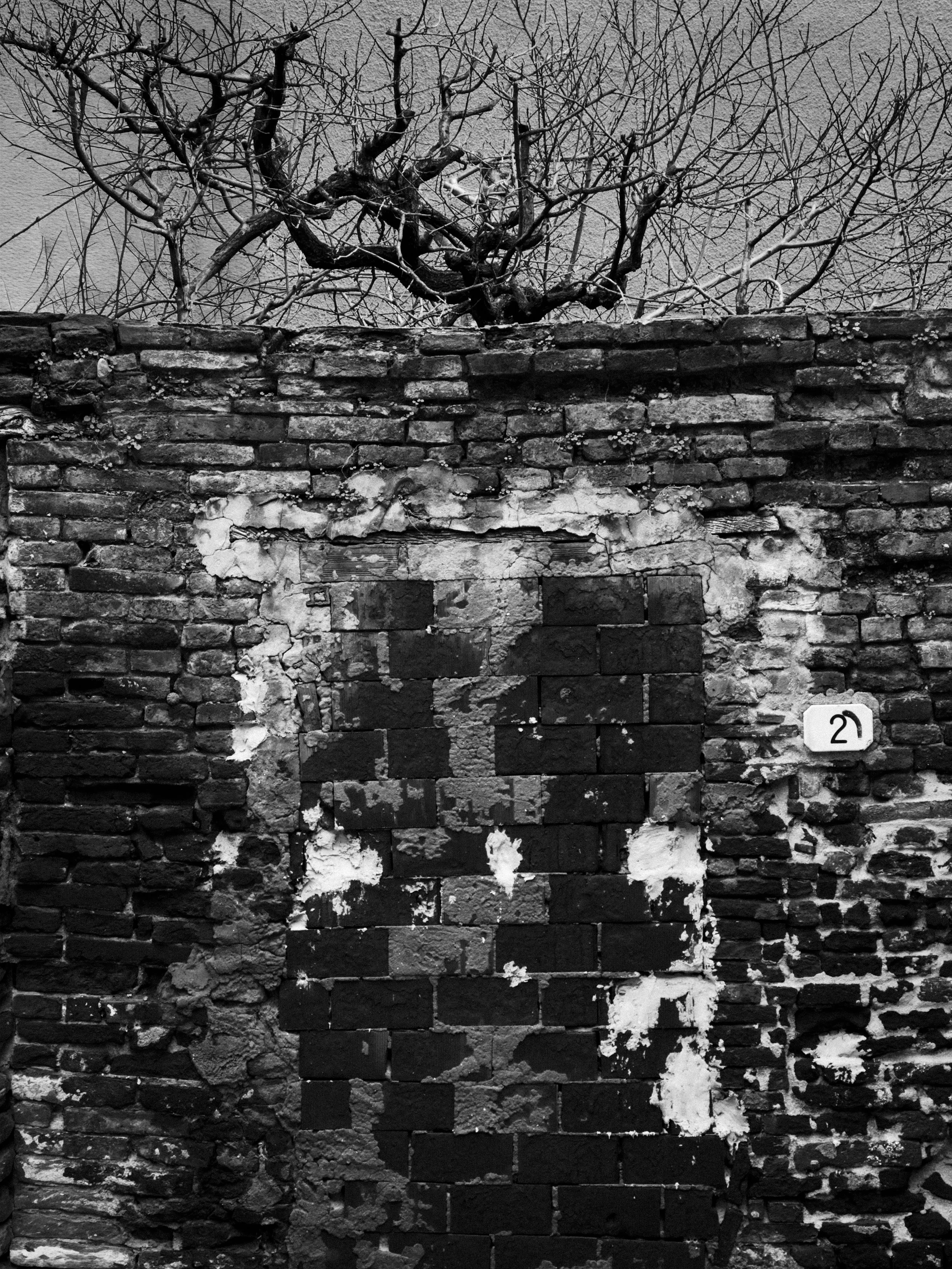 Nonciserve-20.jpg