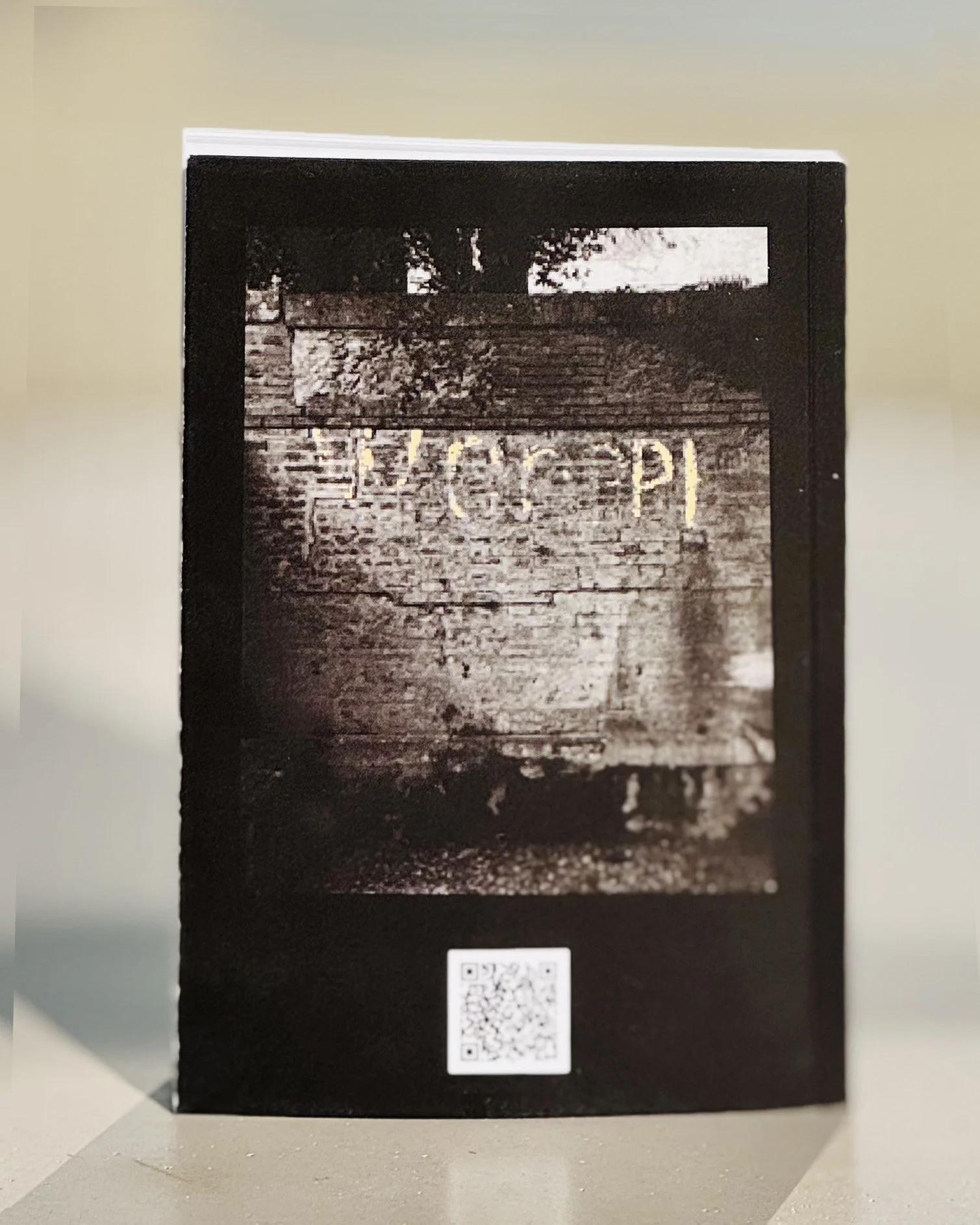 01libroquarta.jpg