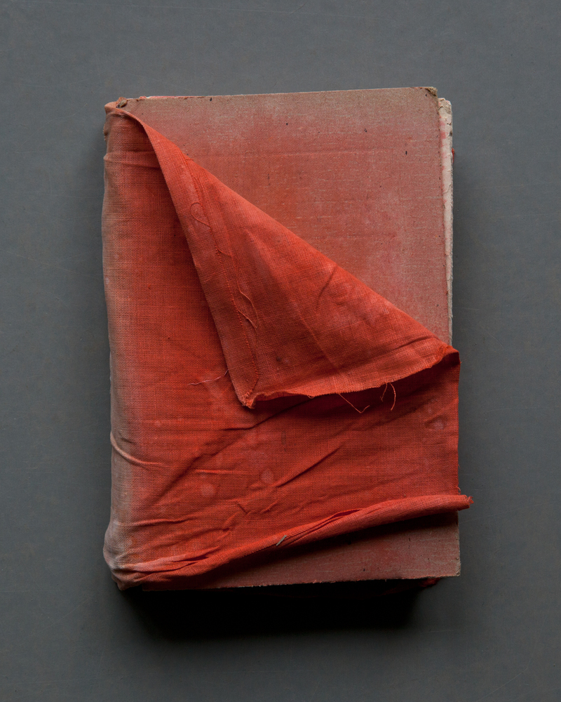 Red Cloth Cover, 2017