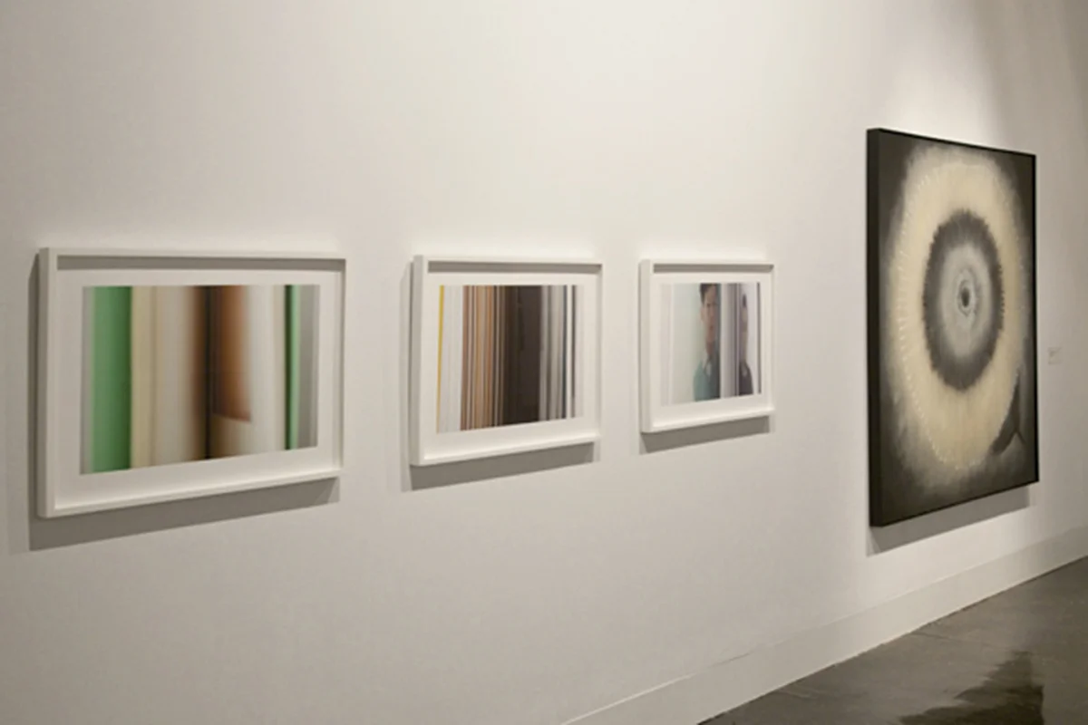 Artists Choose Artists, Parrish Art Museum, with Ross Bleckner, 2012